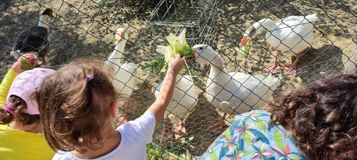 Agriturismo Biofattoria L'Upupa 蒙塔尔奇诺 外观 照片