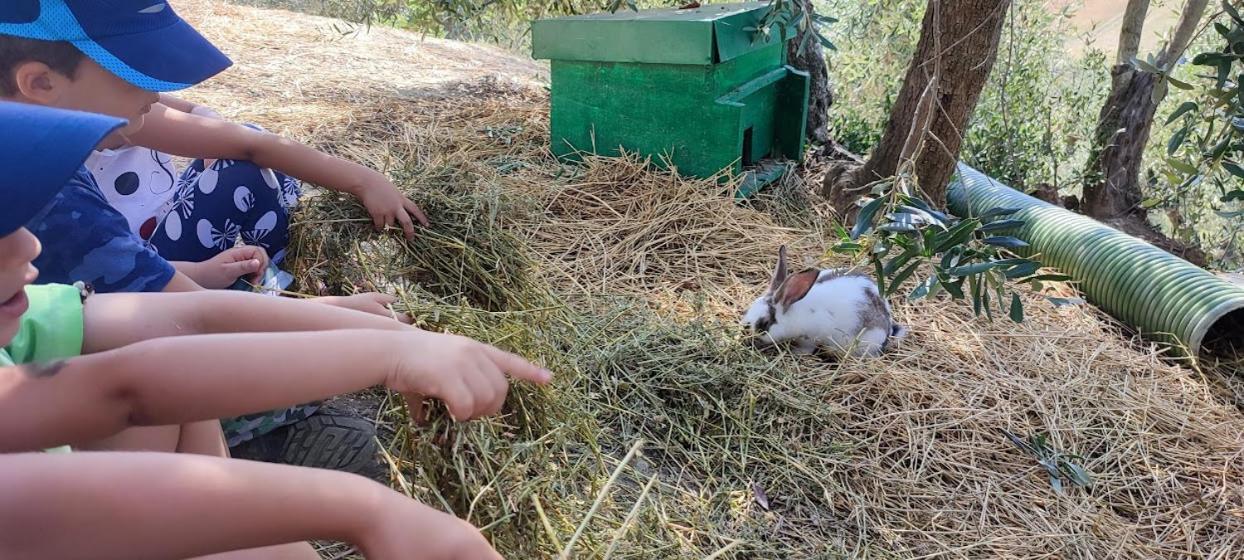 Agriturismo Biofattoria L'Upupa 蒙塔尔奇诺 外观 照片
