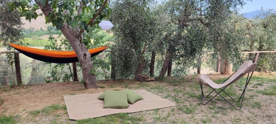 Agriturismo Biofattoria L'Upupa 蒙塔尔奇诺 外观 照片