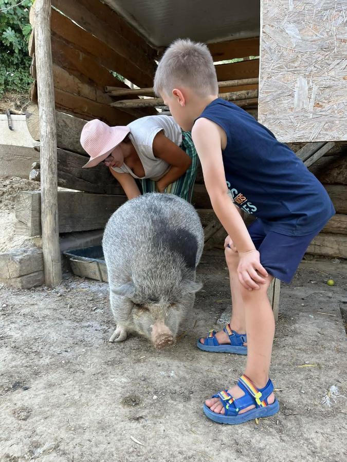 Agriturismo Biofattoria L'Upupa 蒙塔尔奇诺 外观 照片