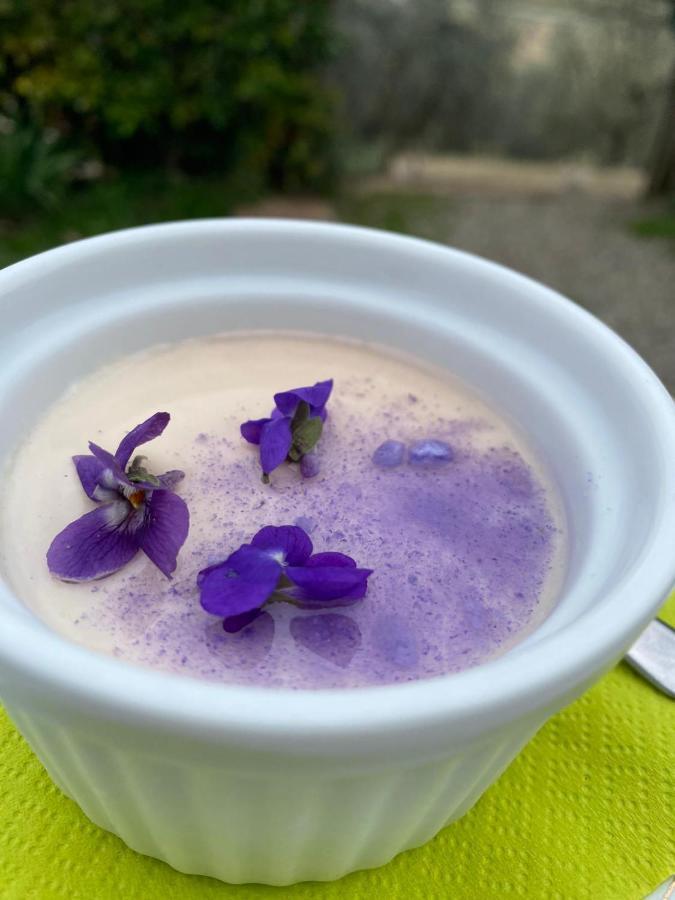 Agriturismo Biofattoria L'Upupa 蒙塔尔奇诺 外观 照片