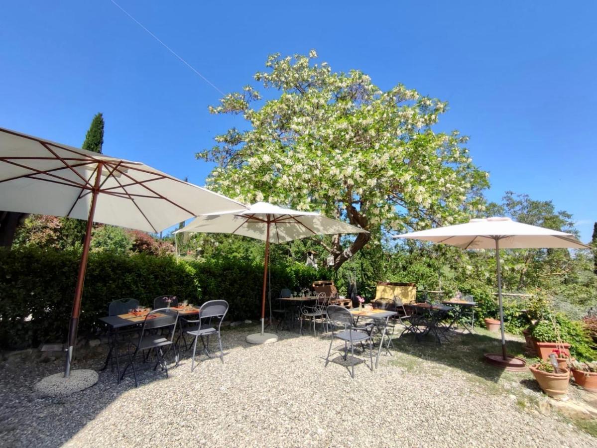 Agriturismo Biofattoria L'Upupa 蒙塔尔奇诺 外观 照片