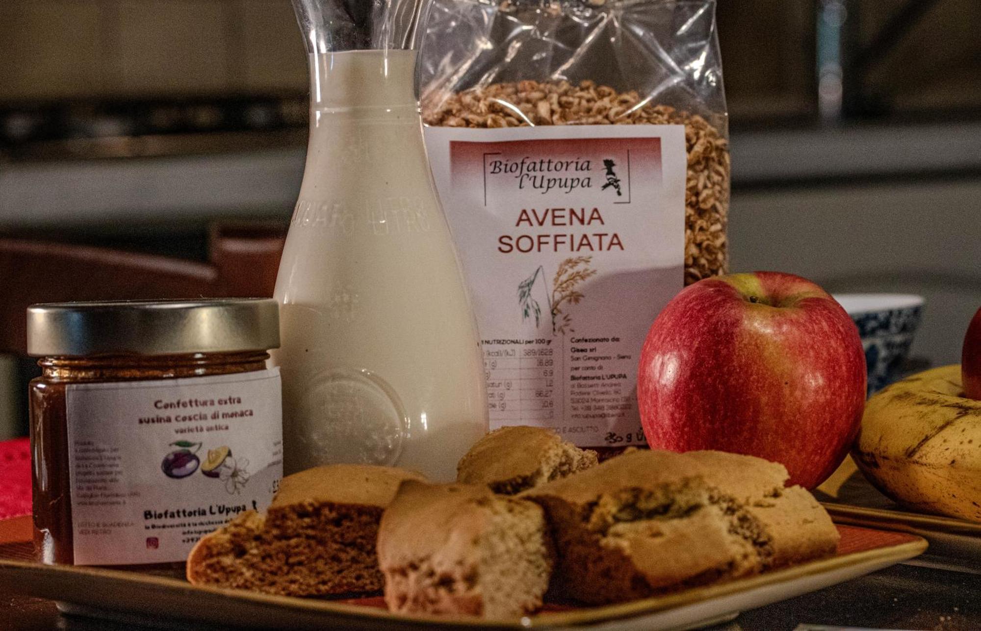 Agriturismo Biofattoria L'Upupa 蒙塔尔奇诺 外观 照片
