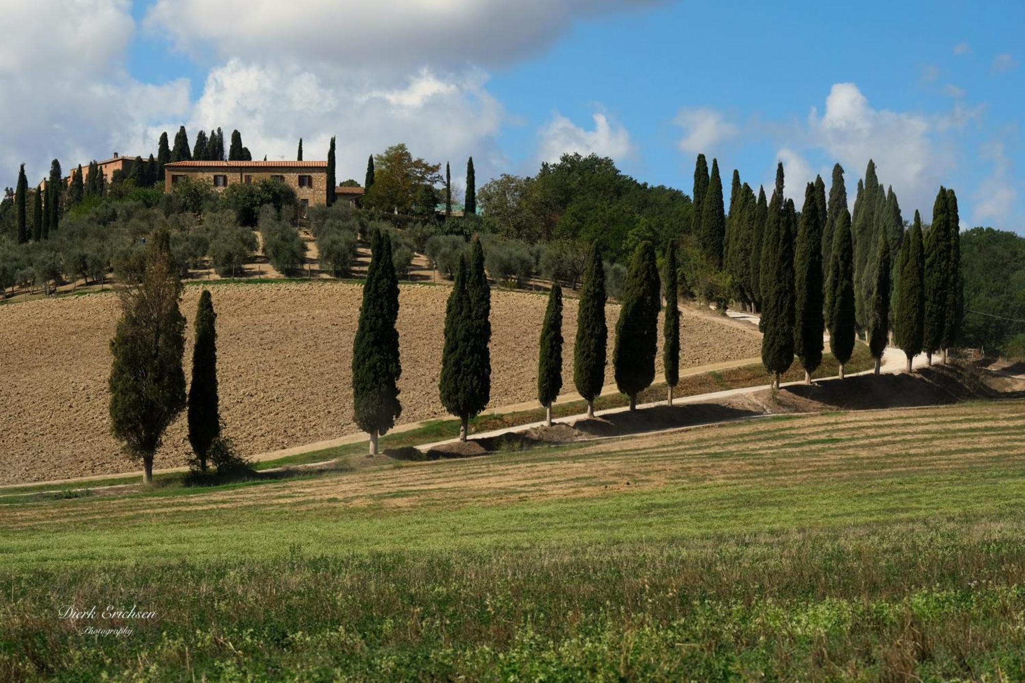 Agriturismo Biofattoria L'Upupa 蒙塔尔奇诺 外观 照片