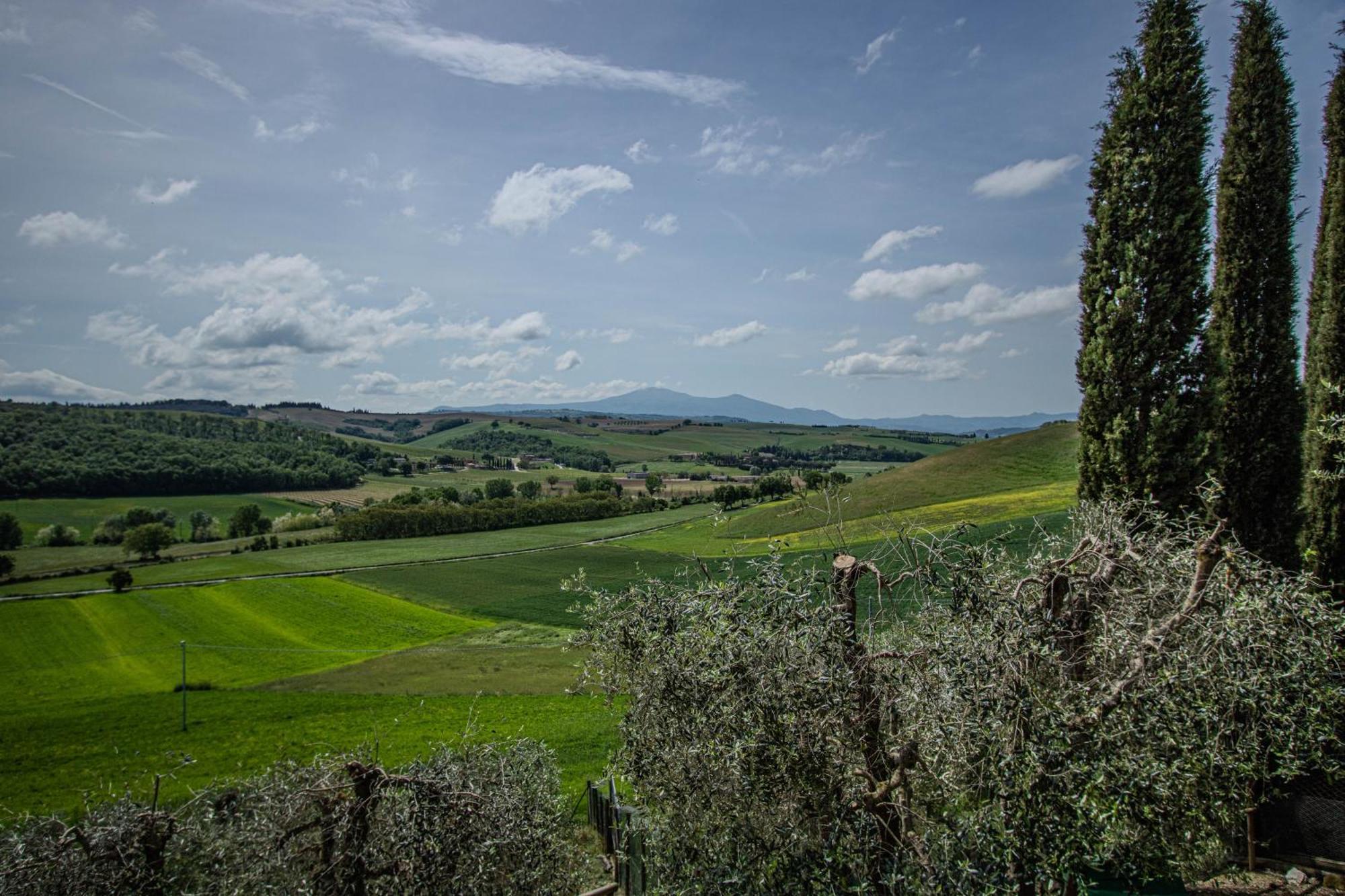 Agriturismo Biofattoria L'Upupa 蒙塔尔奇诺 外观 照片