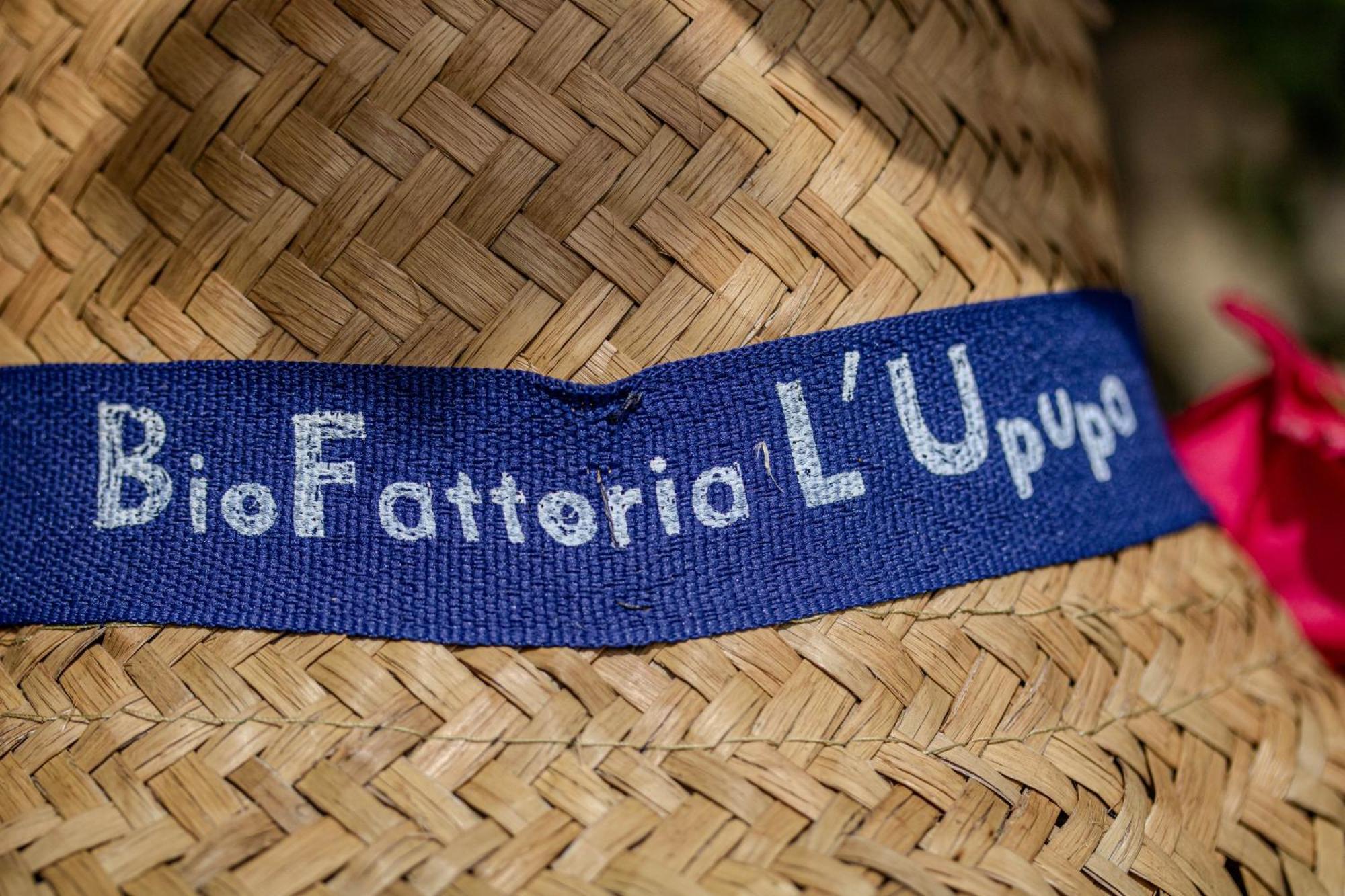 Agriturismo Biofattoria L'Upupa 蒙塔尔奇诺 外观 照片