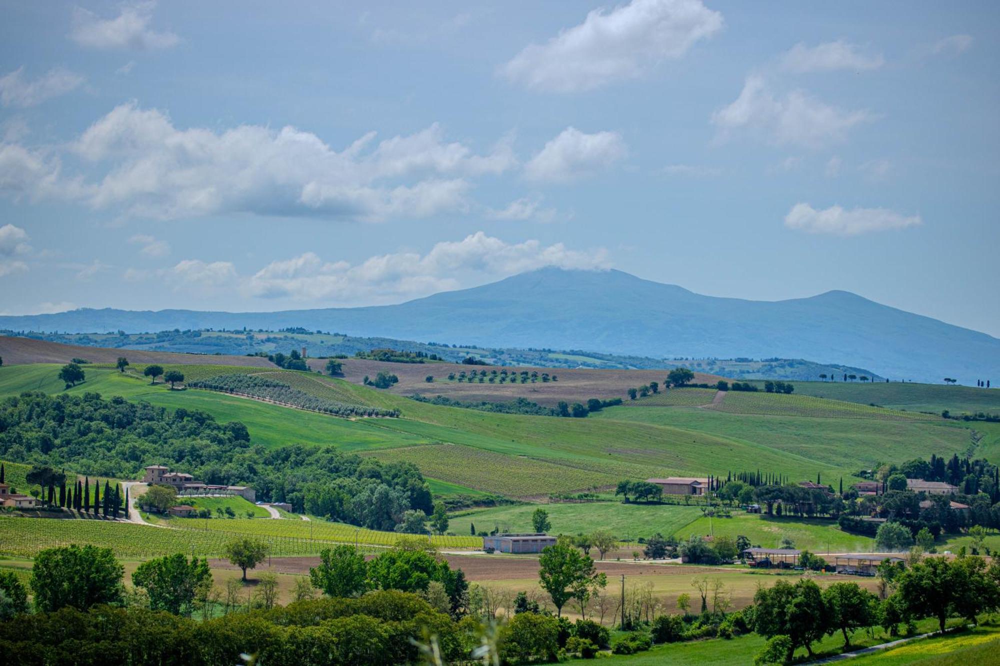 Agriturismo Biofattoria L'Upupa 蒙塔尔奇诺 外观 照片