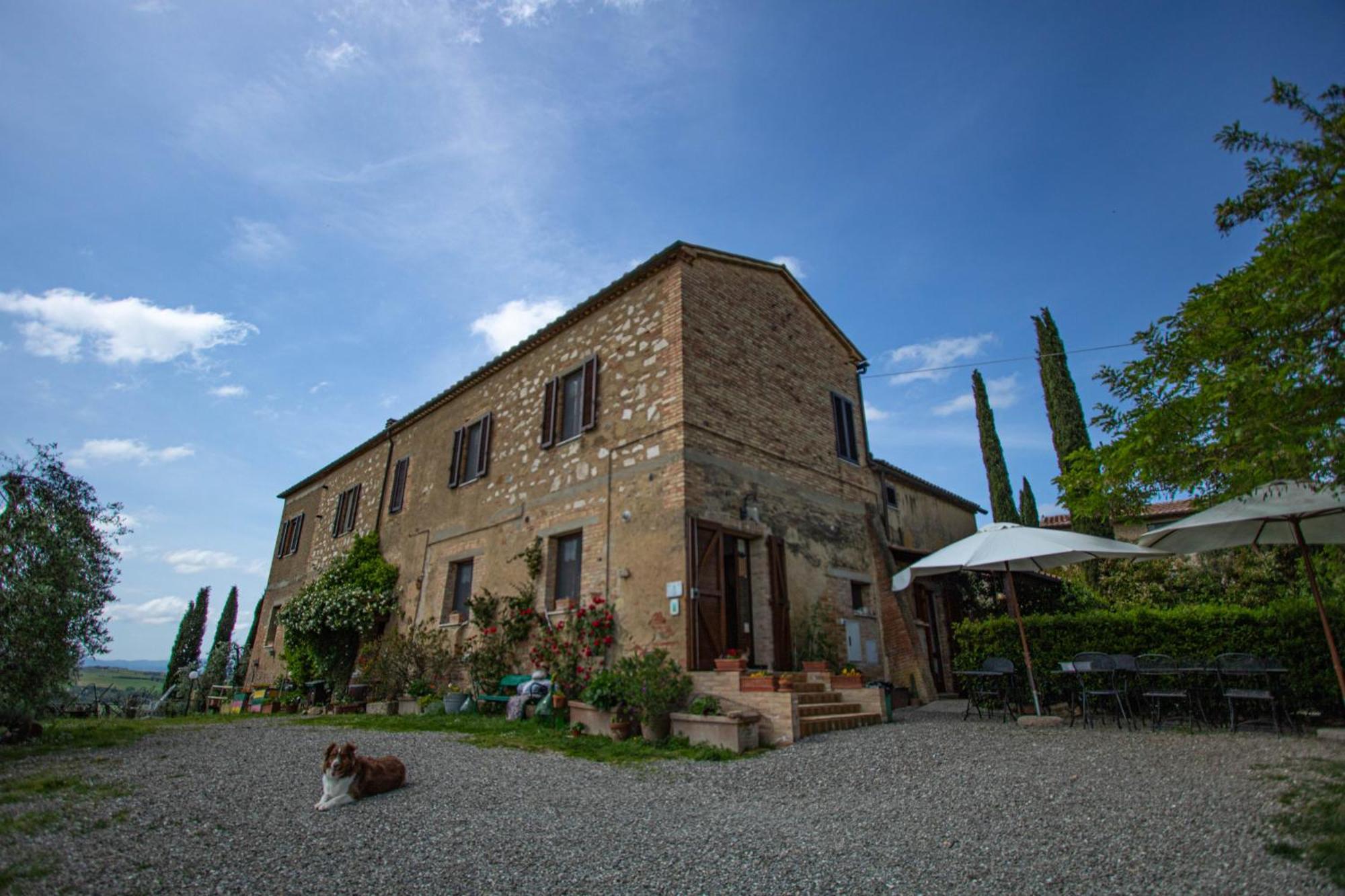 Agriturismo Biofattoria L'Upupa 蒙塔尔奇诺 外观 照片